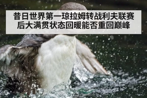 昔日世界第一琼拉姆转战利夫联赛后大满贯状态回暖能否重回巅峰